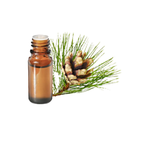 ORGANIC Pine Oil