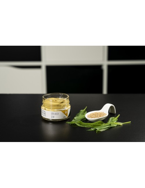 Moutarde Artisanale Bio ail des ours 50g