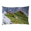 Coussin pin arolle motif chamois 30x20cm