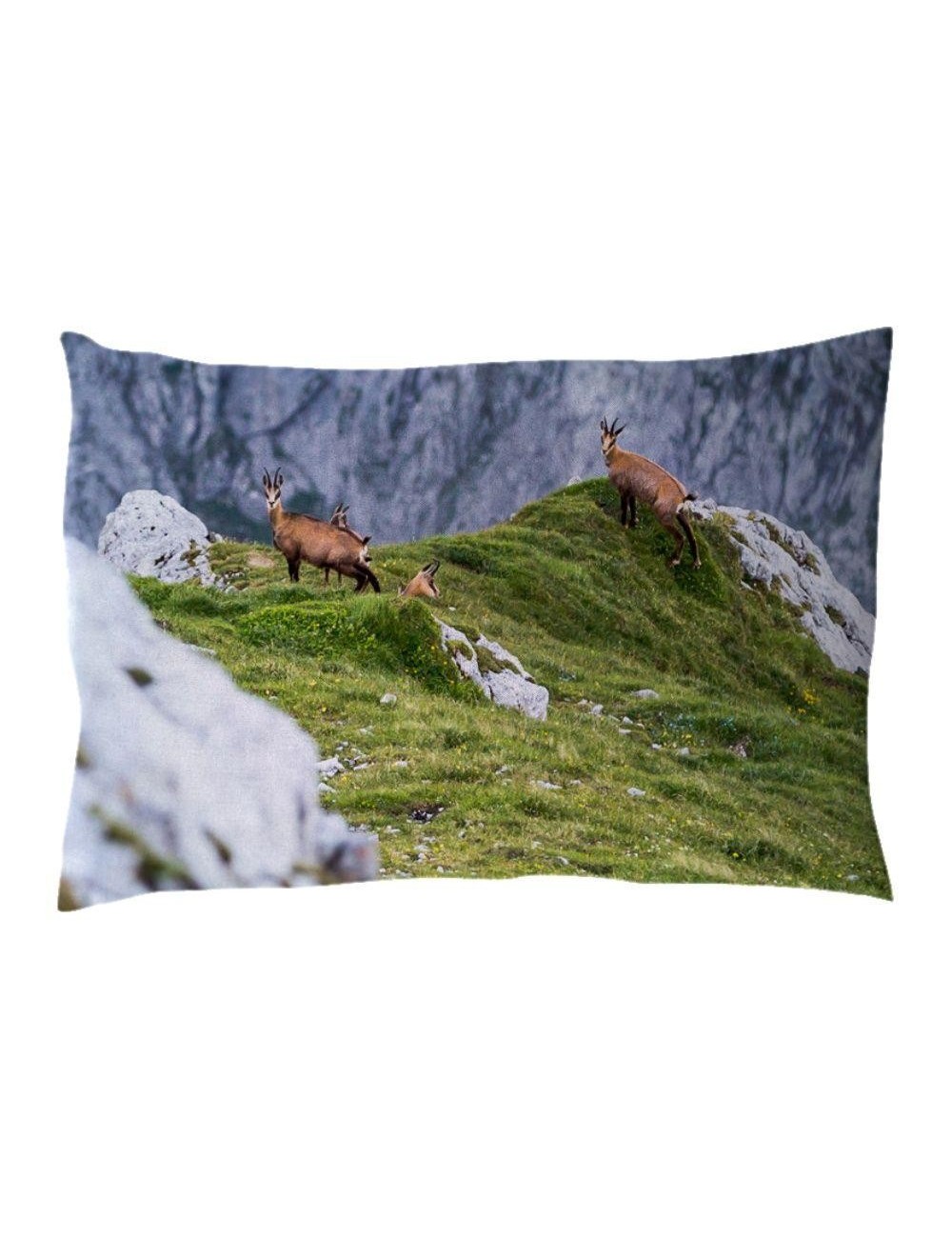 Coussin pin arolle motif chamois 30x20cm