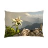 Coussin pin arolle motif Edelweiss 30x20cm