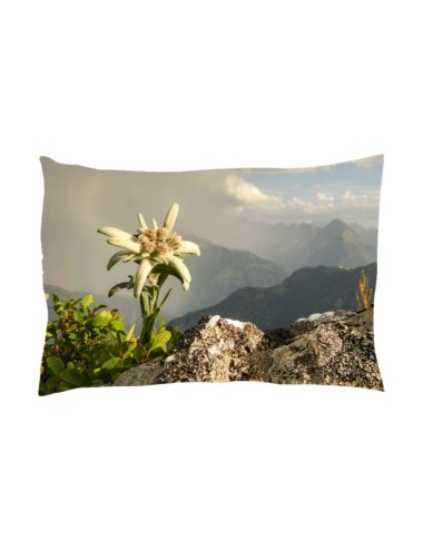 Coussin pin arolle motif Edelweiss 30x20cm