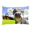 Coussin pin arolle motif vache 30x20cm