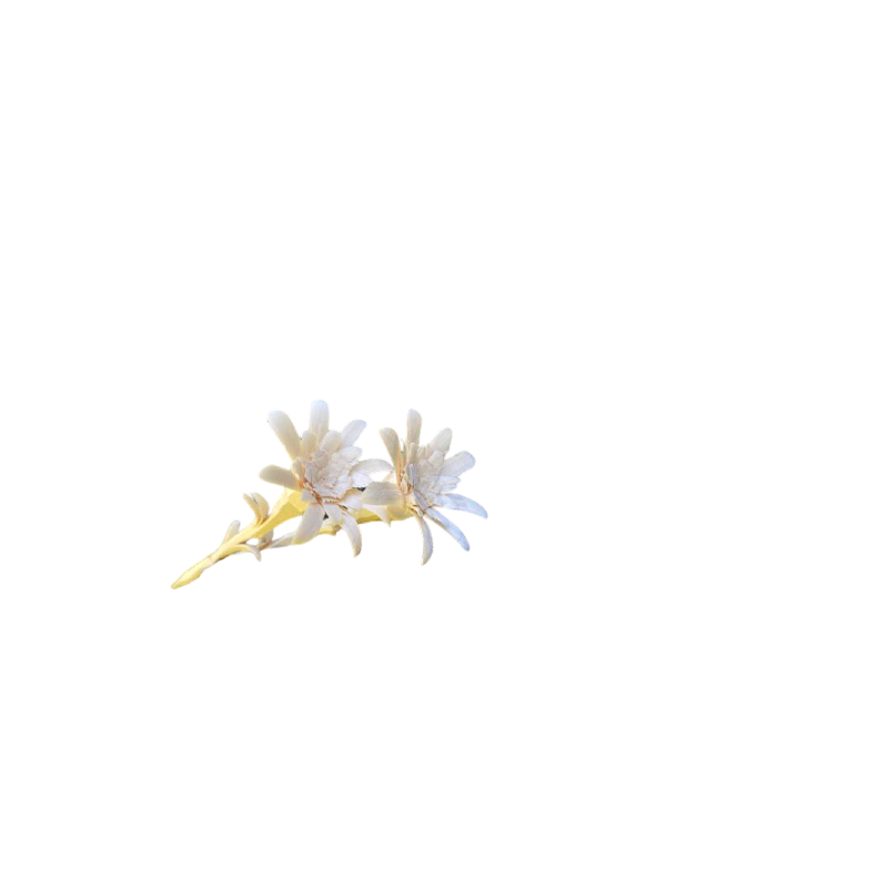 Pine Edelweiss Flower 1 piece