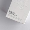 Intense Serum 25+ | Anti-Aging-Serum mit Edelweiß & Q10 - 30 ml