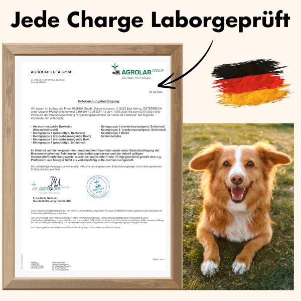 KUINEA® Multivitamin Snacks für Hunde - Beutel 100 g
