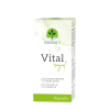 Vital Royal - B-Vitamin Ergänzung, Gelée Royale & Taurin | 60 Kapseln