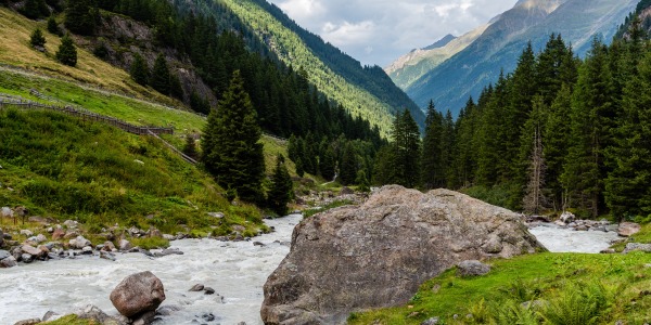 L'Autriche : Numéro Un Mondial du Bio et Championne de la Préservation de la Nature