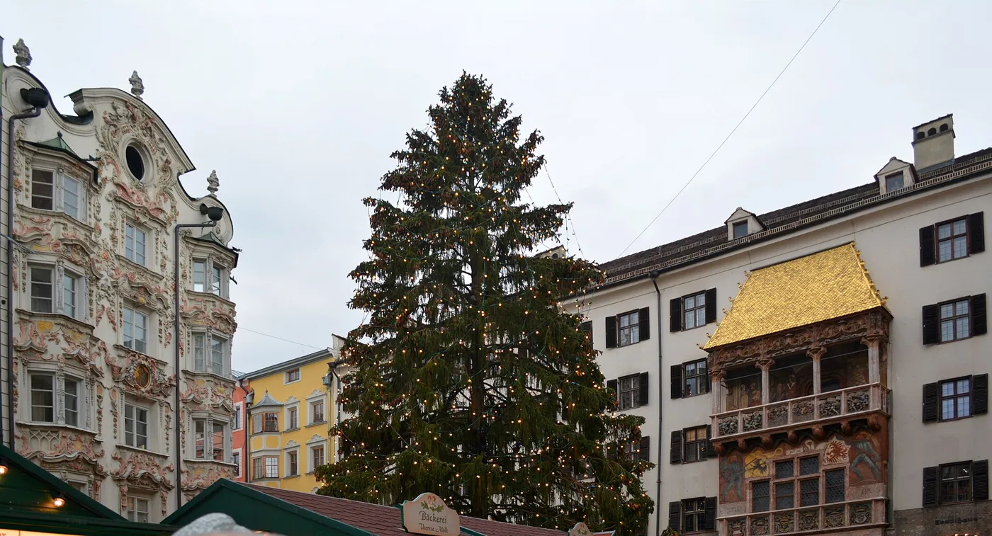 De jour : la maison Helbling, le sapin de Noël et le Petit Toit d'or (novembre 2018).